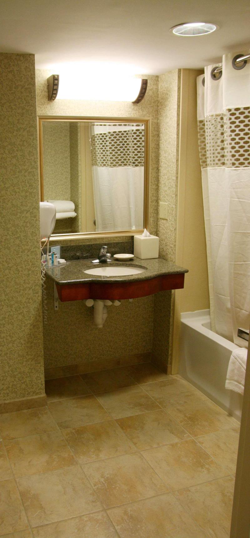 Hampton Inn Easton image