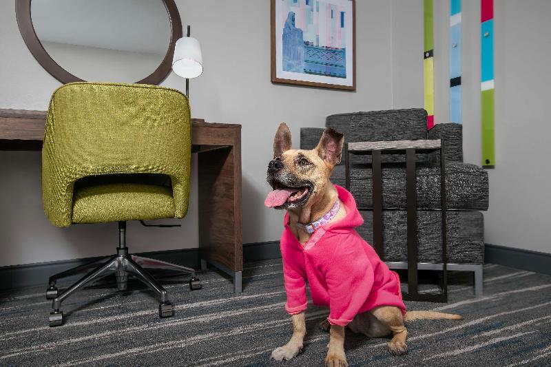 Hampton Inn Yorkville image