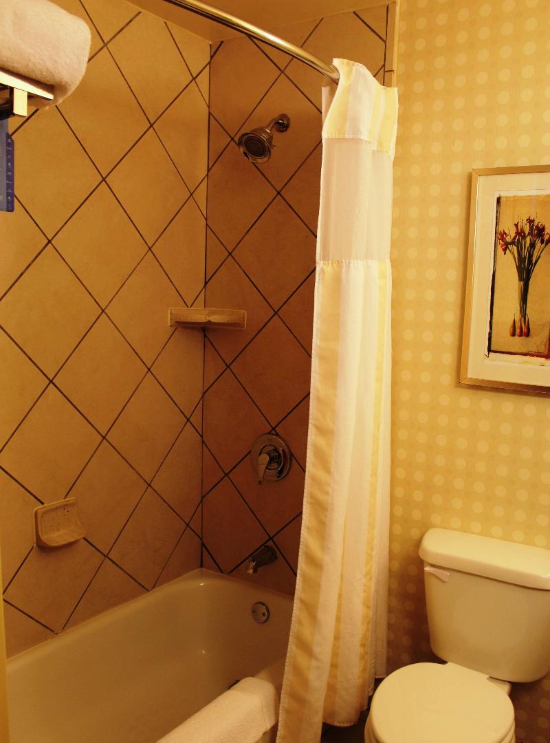 Hilton Garden Inn Starkville image