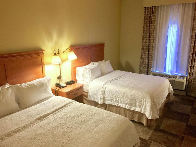 Hampton Inn Garden City image