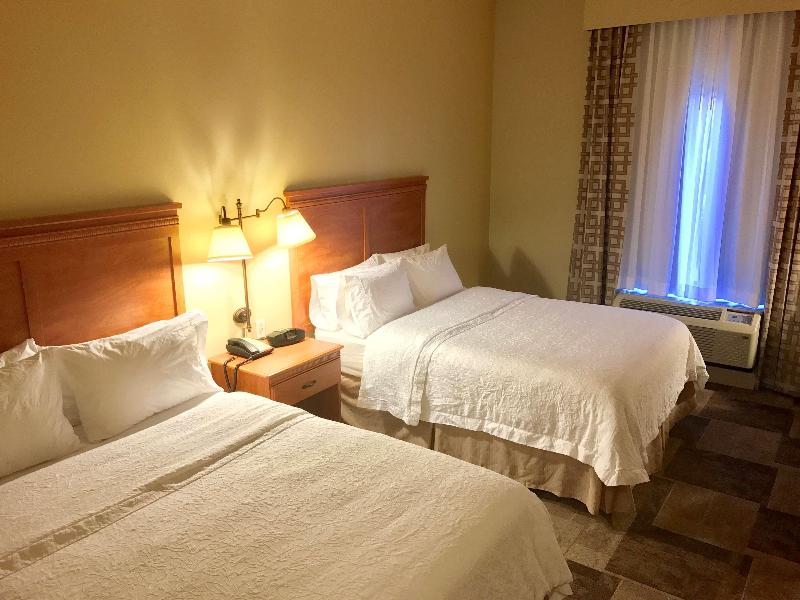 Hampton Inn Garden City image