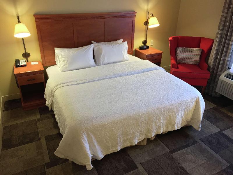 Hampton Inn Garden City image