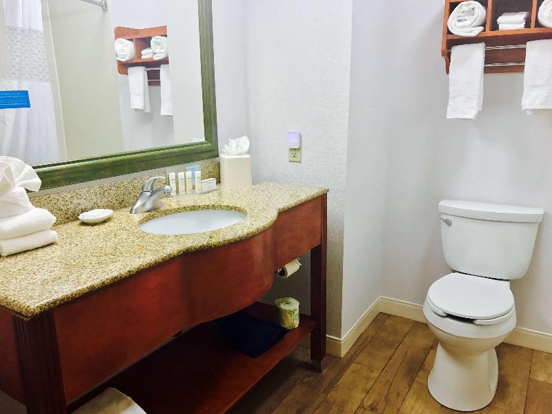 Hampton Inn Garden City image