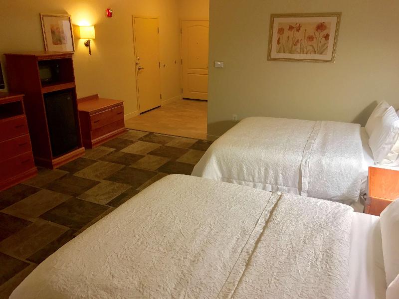 Hampton Inn Garden City image