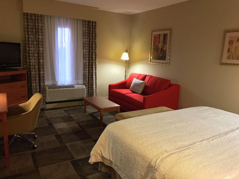 Hampton Inn Garden City image
