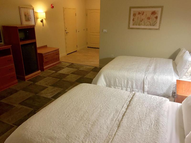Hampton Inn Garden City image