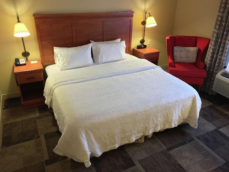 Hampton Inn Garden City image