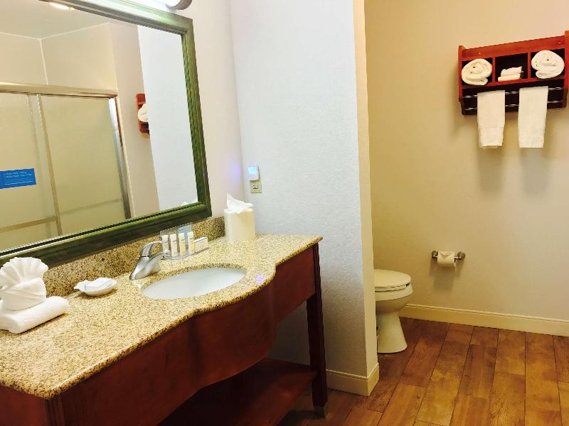 Hampton Inn Garden City image