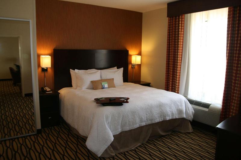 Hampton Inn & Suites Morgan City image
