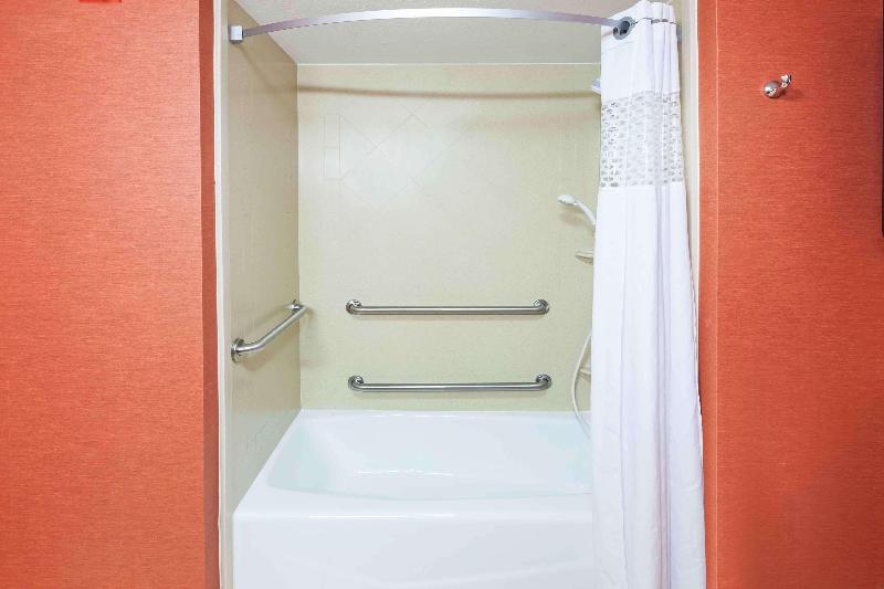 Hampton Inn & Suites Morgan City image