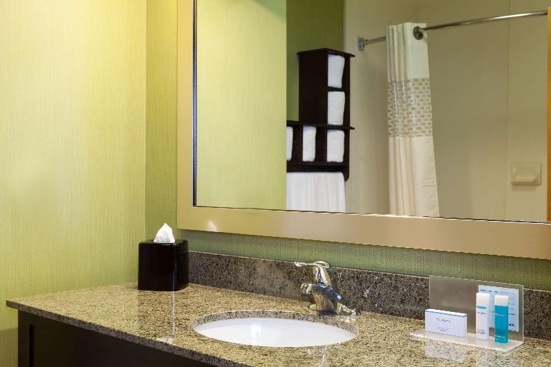 Hampton Inn Elkton image