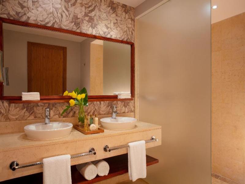 Dreams Royal Beach Punta Cana image