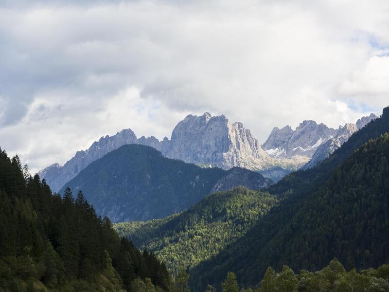 Hotel Alpenhof image