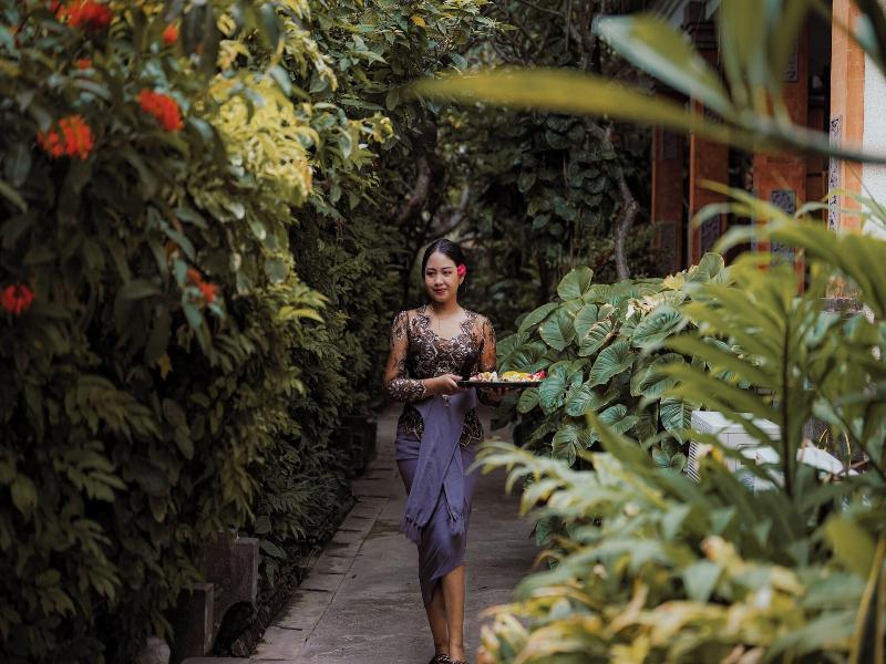 Ashyana Candidasa image