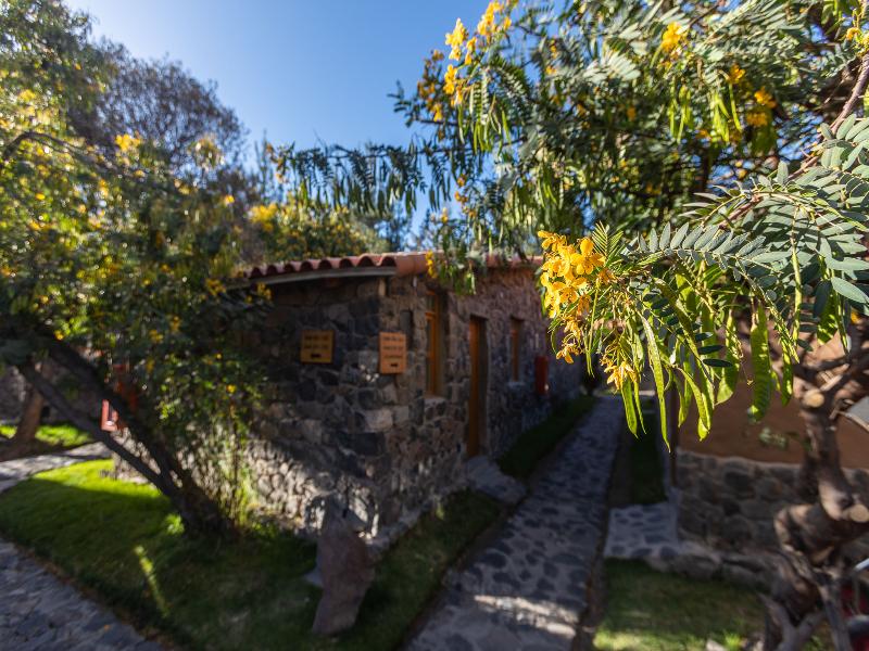 Casa Andina Standard Colca image