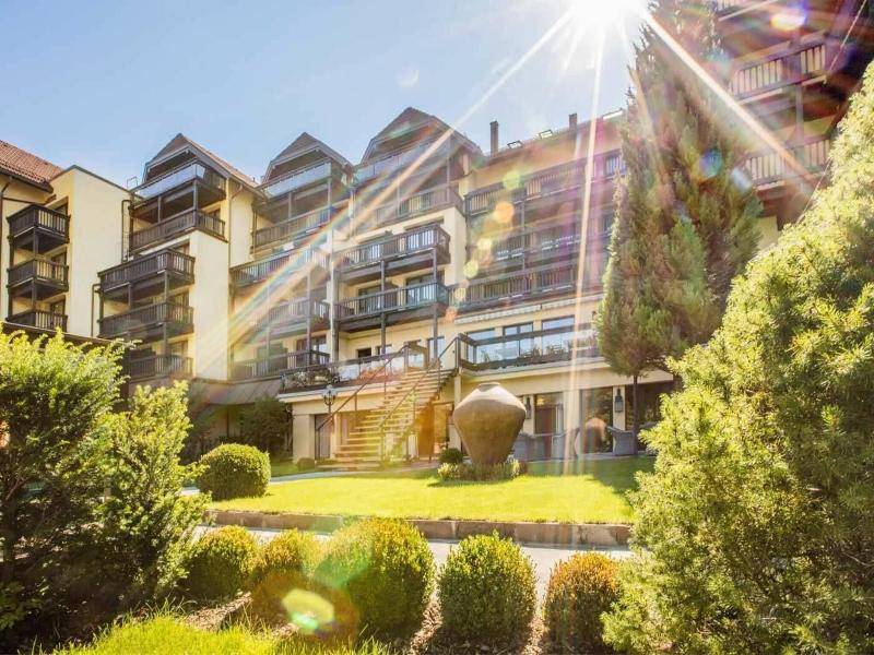 Parkhotel Luise image