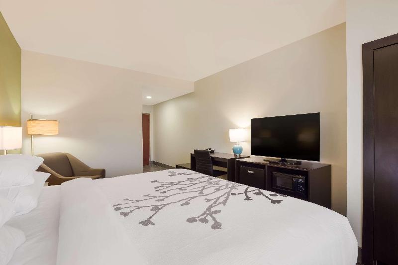 Sleep Inn & Suites North Mobile Saraland image
