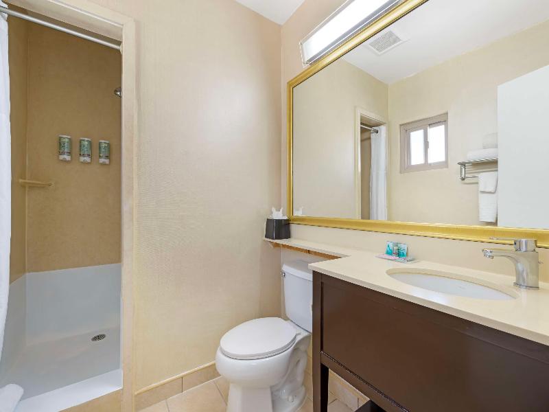 Best Western Royal Palace Inn & Suites image