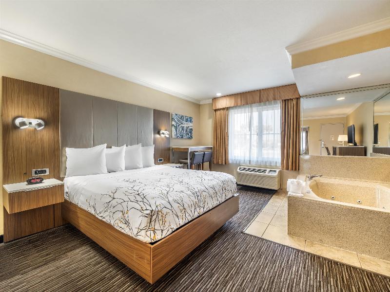 Best Western Airpark Hotel-Los Angeles Lax Airport image