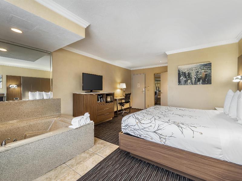 Best Western Airpark Hotel-Los Angeles Lax Airport image