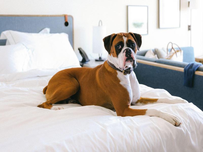 Monterey Beach Hotel, a Tribute Portfolio Hotel image