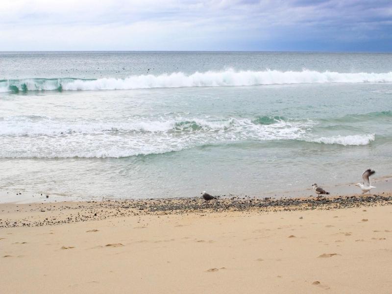 Monterey Beach Hotel, a Tribute Portfolio Hotel image