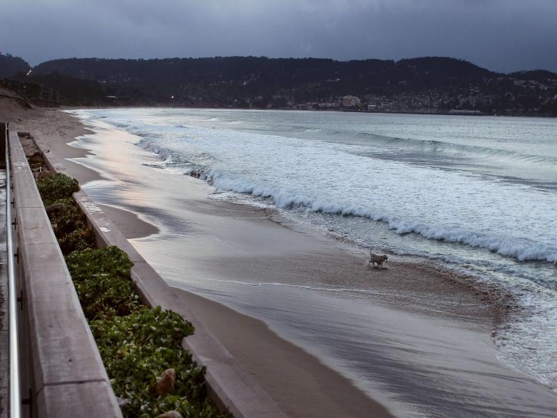 Monterey Beach Hotel, a Tribute Portfolio Hotel image