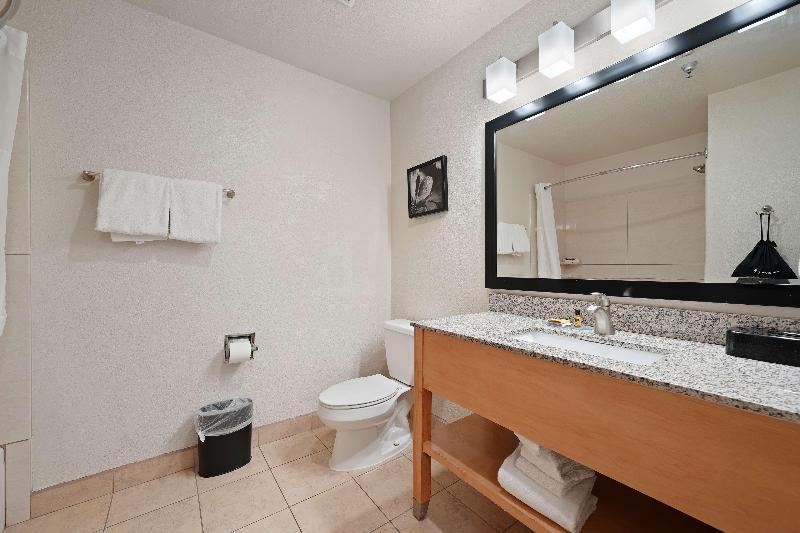 Best Western Plus Executive Inn & Suites image