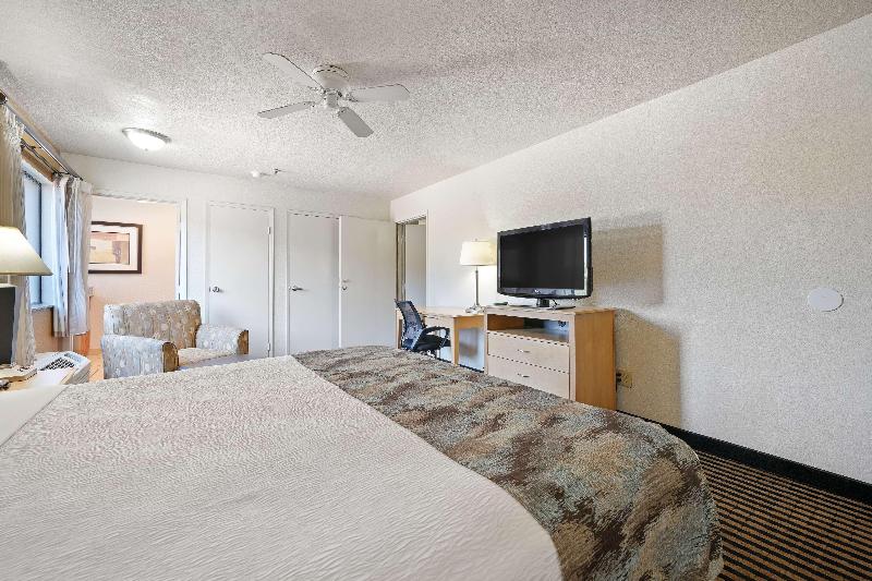 Best Western Plus Executive Inn & Suites image