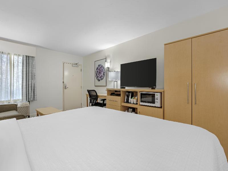Best Western Plus South Coast Inn image