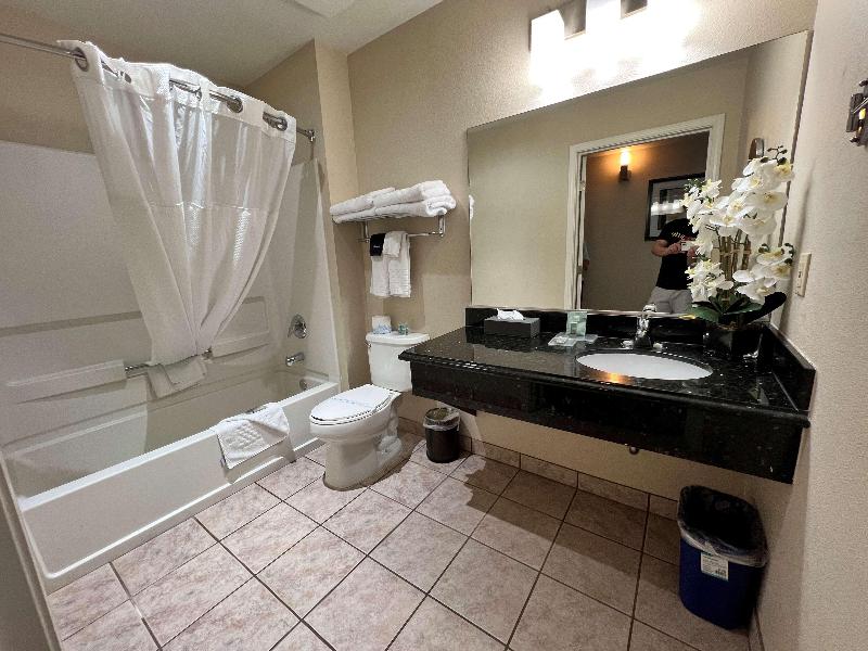 Best Western Americana image