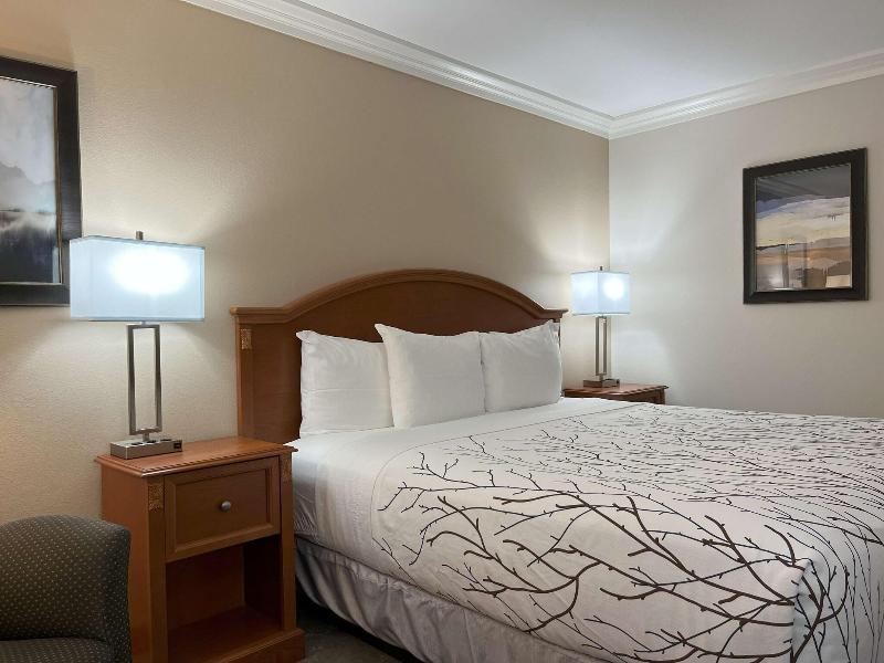 Best Western Plus Silver Saddle image