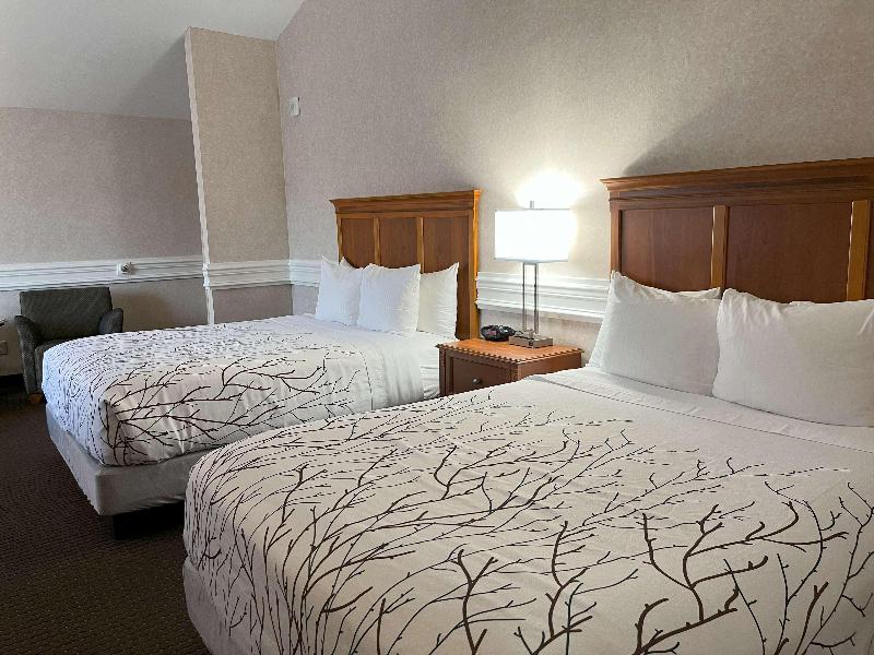 Best Western Plus Silver Saddle image