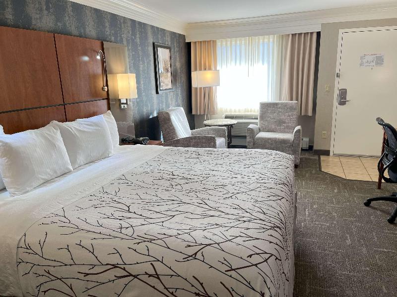 Best Western Plus Silver Saddle image