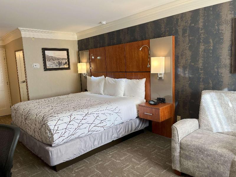 Best Western Plus Silver Saddle image