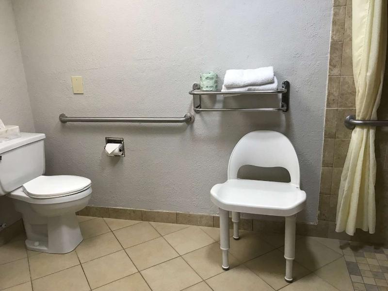 Best Western Inn of Palatka image