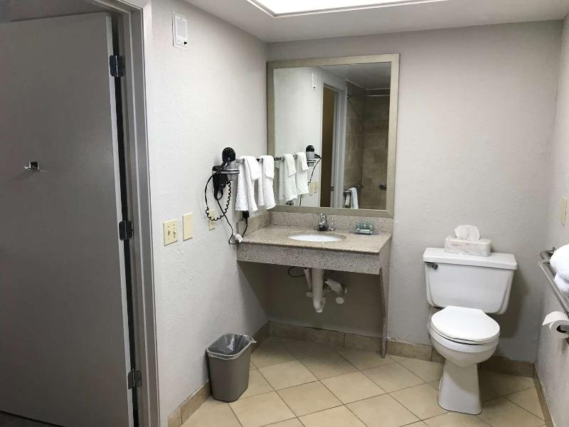 Best Western Inn of Palatka image