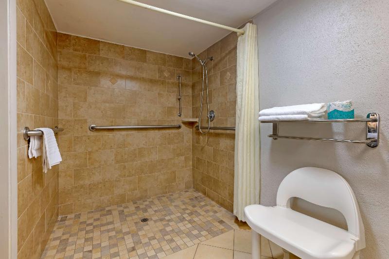 Best Western Inn of Palatka image