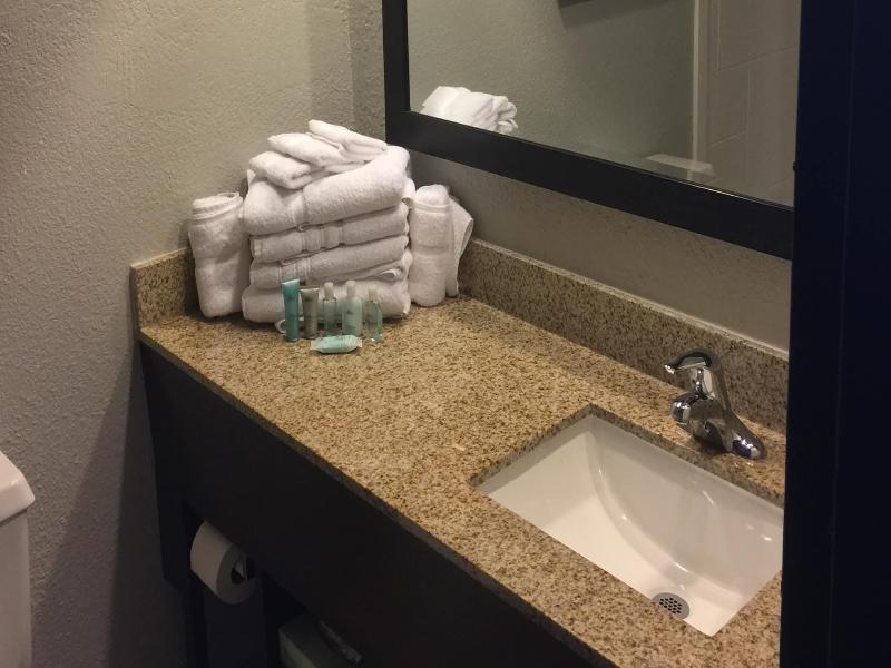 Wyndham Garden Jacksonville image