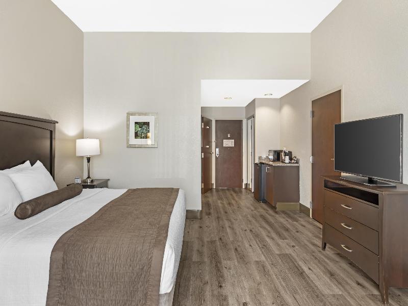 Best Western Plus Chain of Lakes Inn & Suites image