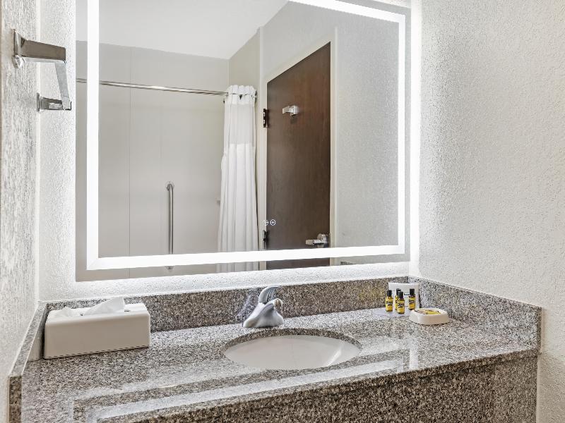 Best Western Plus Chain of Lakes Inn & Suites image