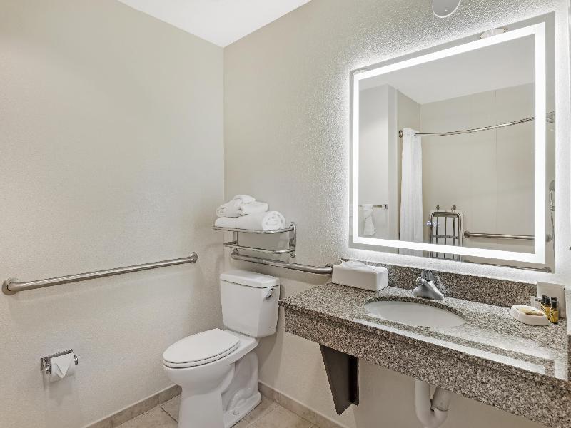Best Western Plus Chain of Lakes Inn & Suites image