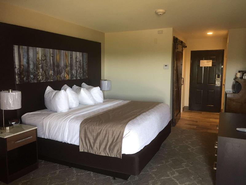 Aiden by Best Western Warm Springs Hotel and Event image