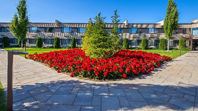 Best Western Plus University Inn image