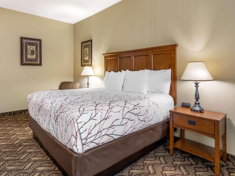 Best Western Lodge at River's Edge image