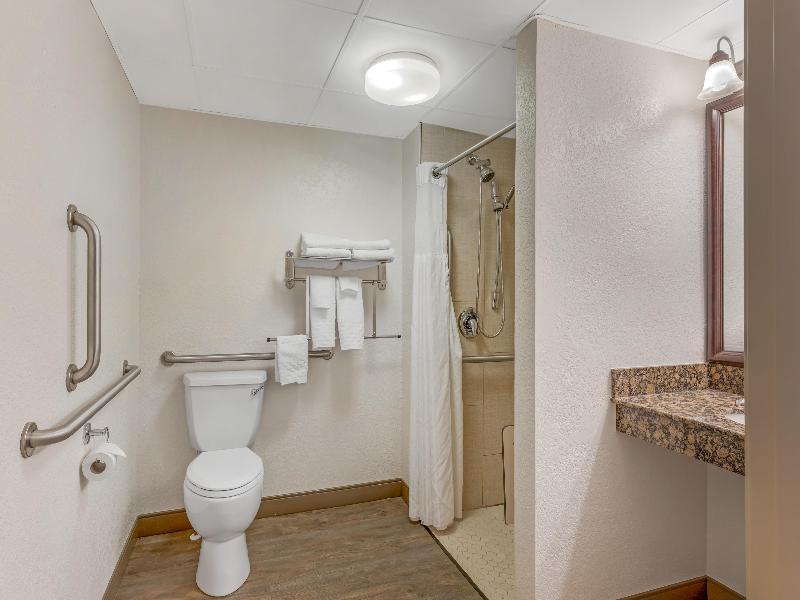 Best Western Plus McCall Lodge & Suites image