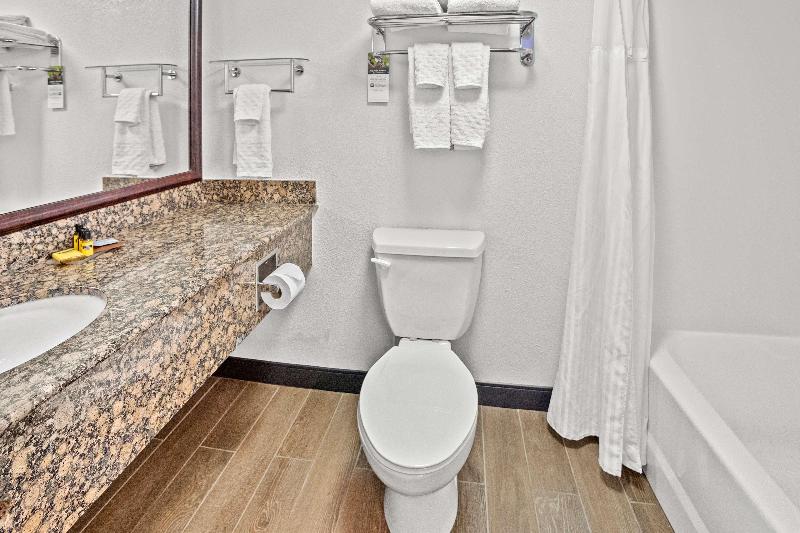 Best Western Plus McCall Lodge & Suites image