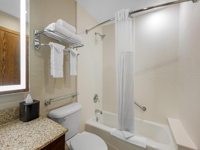 Bw Plus Dubuque Hotel & Conference Center image