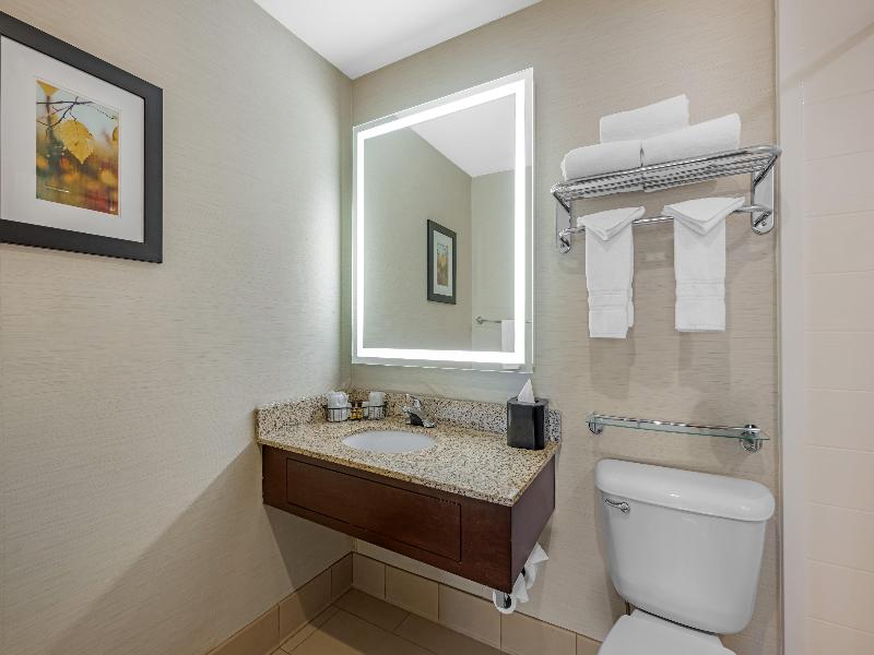 Bw Plus Dubuque Hotel & Conference Center image