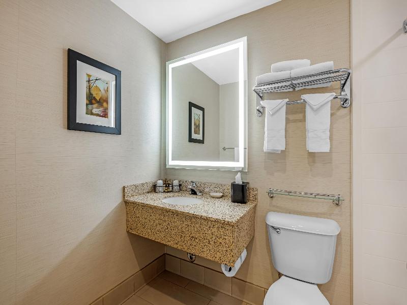 Bw Plus Dubuque Hotel & Conference Center image